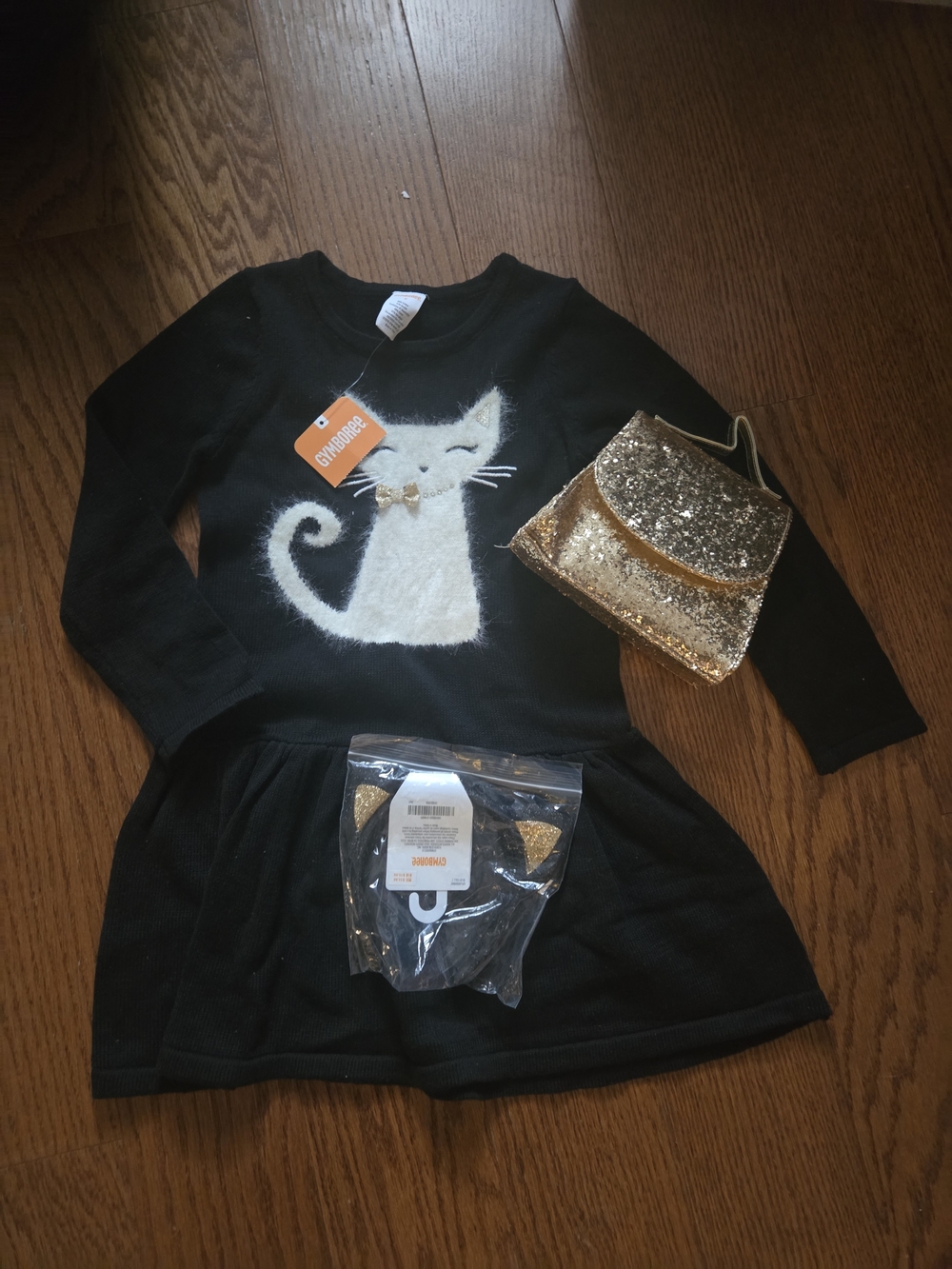 Gymboree Black Cat Dress with Gold Sequin Purse and Headband